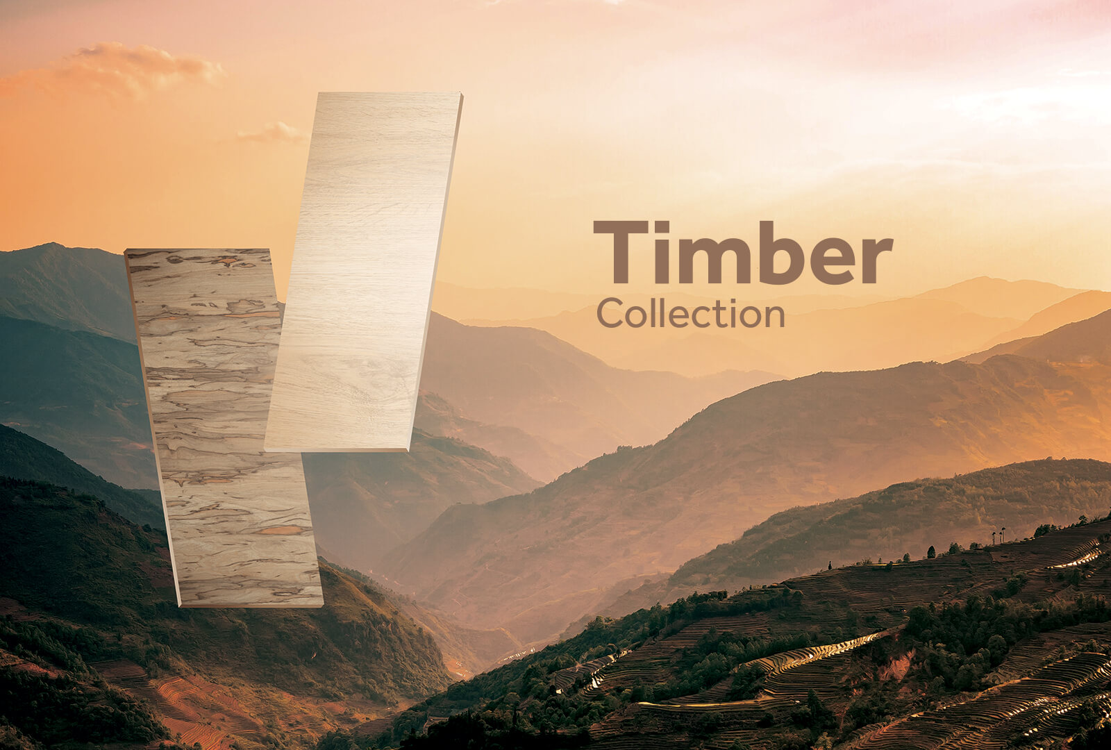 4 tile timber collection