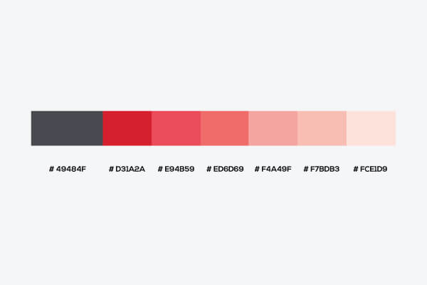 Color of UI UX Design for Venture Catalysts Branding